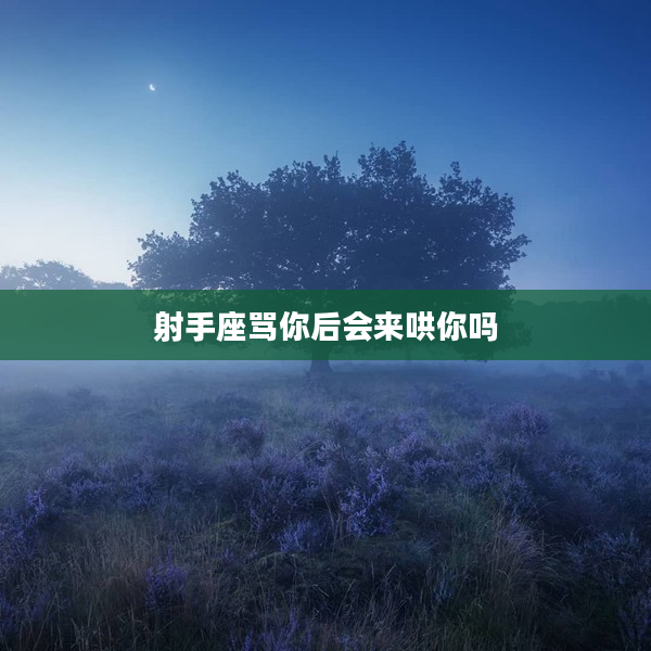 射手座罵你后會來哄你嗎