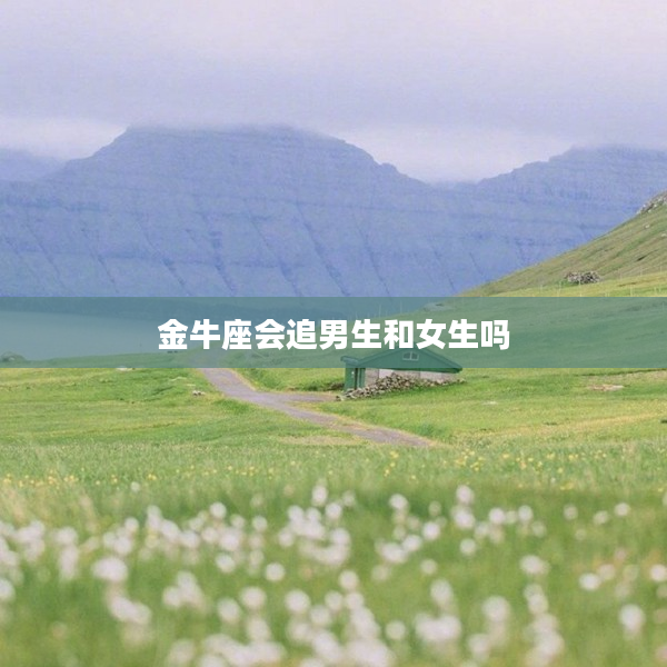 金牛座會追男生和女生嗎
