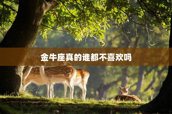 金牛座真的誰都不喜歡嗎