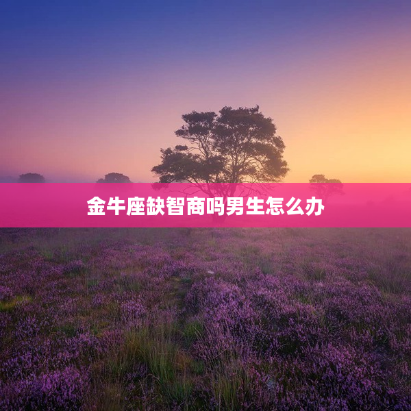 金牛座缺智商嗎男生怎么辦