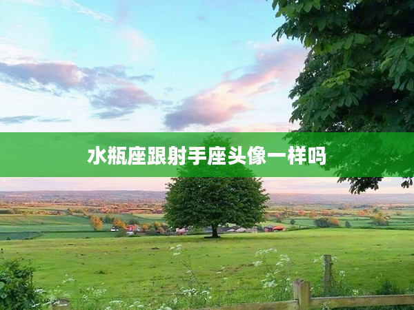 水瓶座跟射手座頭像一樣嗎