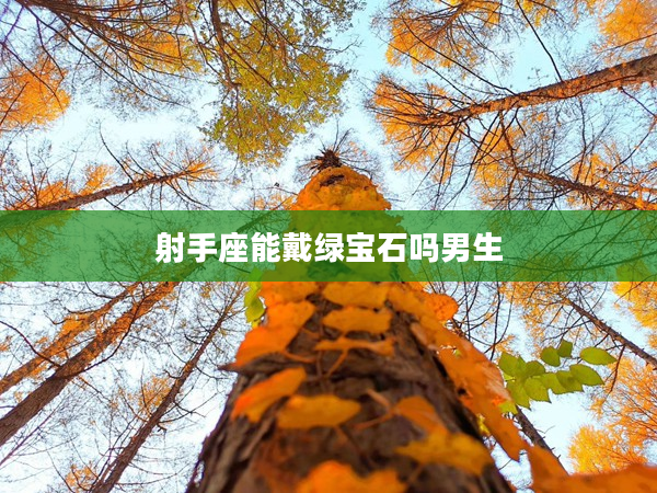 射手座能戴綠寶石嗎男生