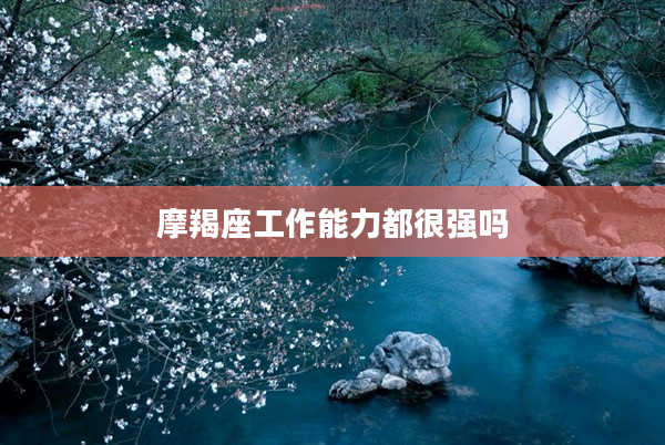 摩羯座工作能力都很強嗎