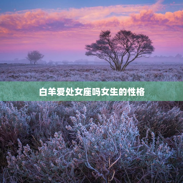 白羊愛處女座嗎女生的性格