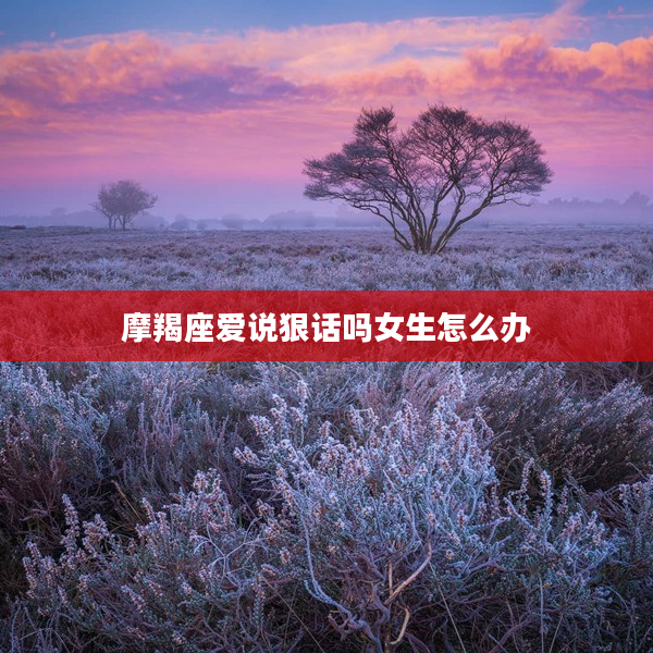 摩羯座愛說狠話嗎女生怎么辦