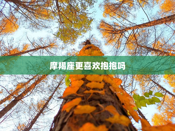 摩羯座更喜歡抱抱嗎