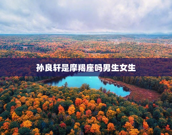 孫良軒是摩羯座嗎男生女生