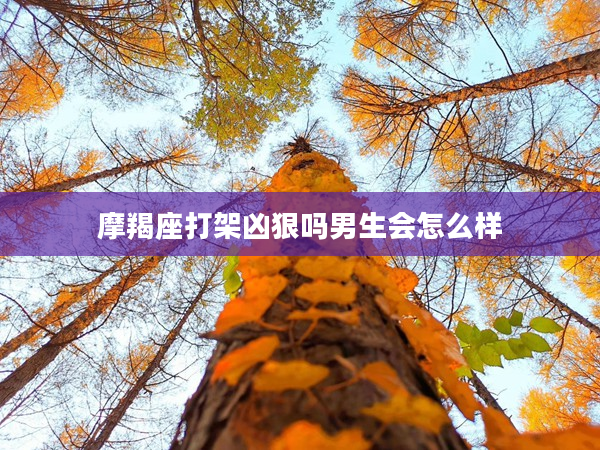 摩羯座打架兇狠嗎男生會怎么樣