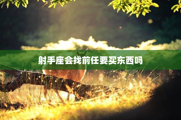 射手座會找前任要買東西嗎