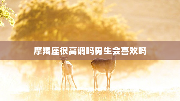 摩羯座很高調嗎男生會喜歡嗎