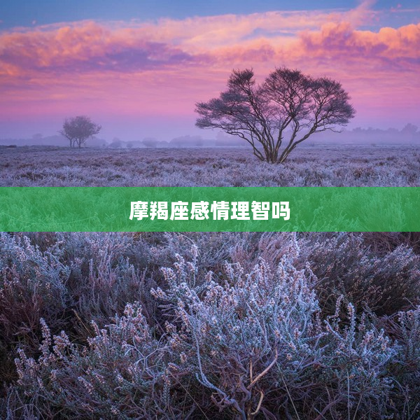 摩羯座感情理智嗎