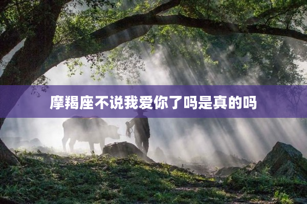 摩羯座不說我愛你了嗎是真的嗎