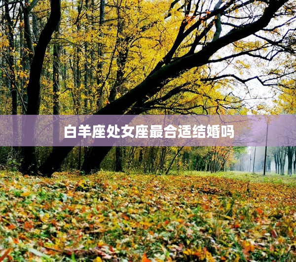 白羊座處女座最合適結(jié)婚嗎