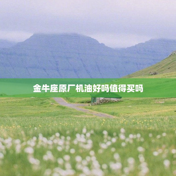 金牛座原廠機油好嗎值得買嗎