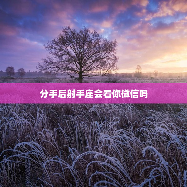 分手后射手座會看你微信嗎