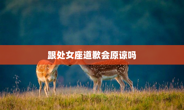 跟處女座道歉會原諒嗎