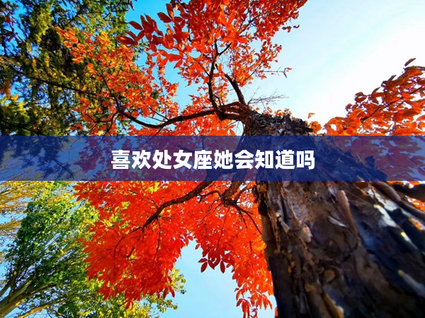 喜歡處女座她會(huì)知道嗎