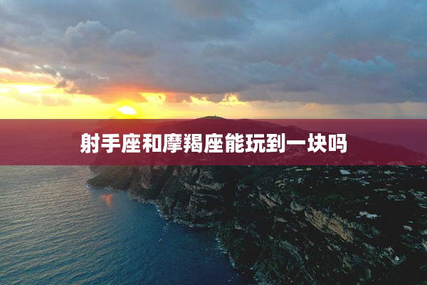 射手座和摩羯座能玩到一塊嗎