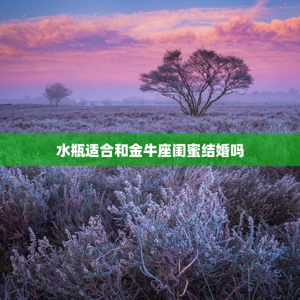 水瓶適合和金牛座閨蜜結(jié)婚嗎