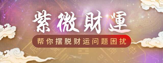 紫薇財運